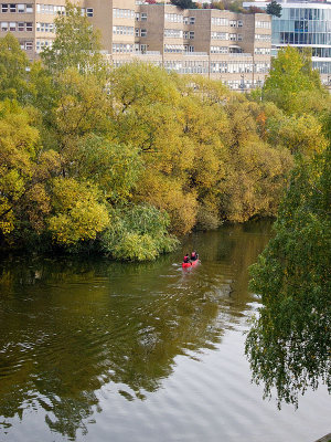 Red canoe in the green