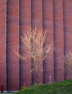 Tree and brick