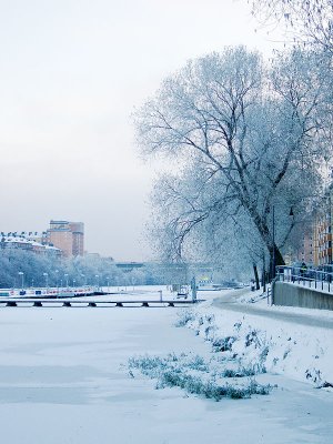 Winter shore