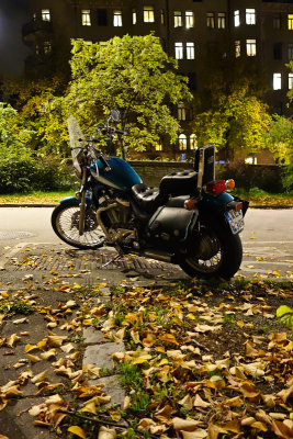 Autumn bike