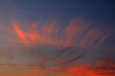 Delicate clouds