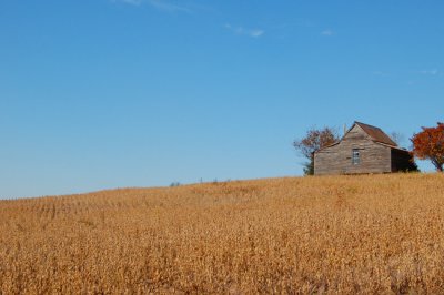 NC Countryside