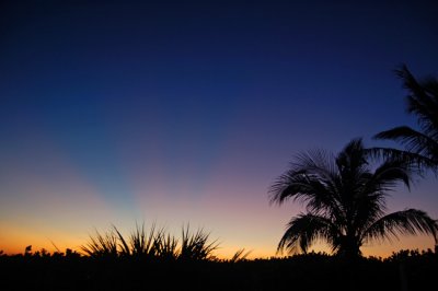 Florida Sunrise