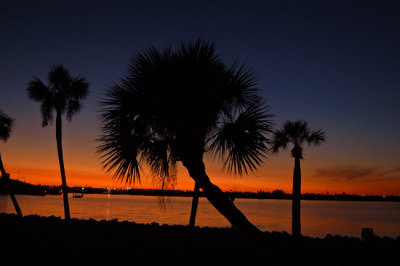 Florida Sunset