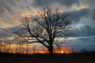 NC Sunset