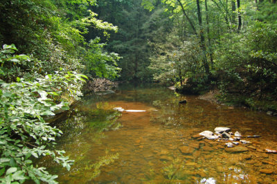 Jacob Fork of South Catawba River, South Mountains State Park, NC