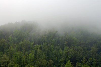 Morning fog in the mountains of Western NC