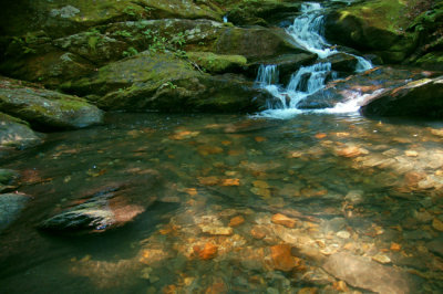 Roaring Fork Falls, NC