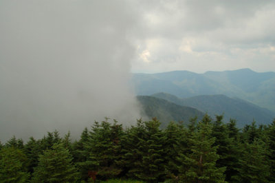 Mt Mitchell State Park, NC