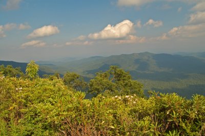 Blue Ridge Parkway near Mt Pisgah, NC