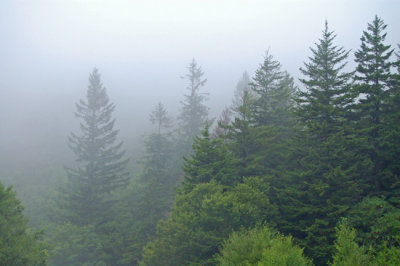 Foggy Mountains