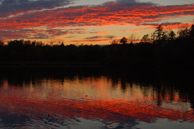 Pink Sunset