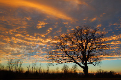 Winter sunset