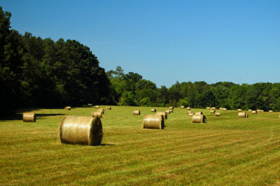 North Carolina Countryside