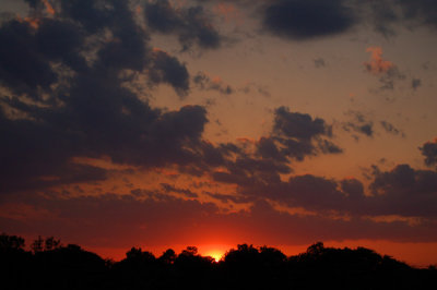 Sunset, Charlotte, NC