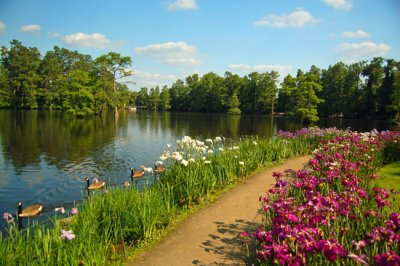 Swan Lake Gardens, Sumter, SC