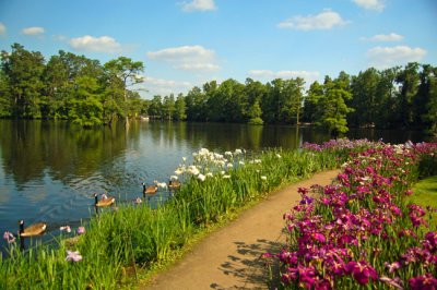 Swan Lake Gardens, Sumter, SC