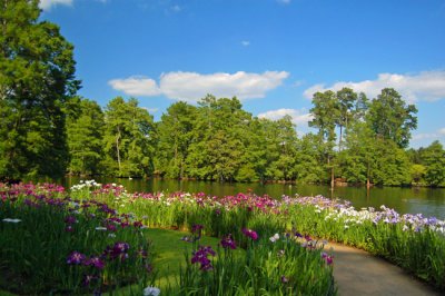 Swan Lake Gardens, Sumter, SC