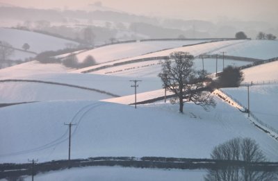 snow 5