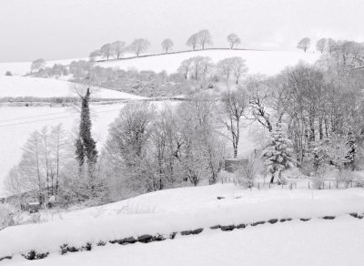snow 1