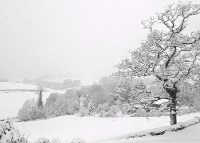snow 2