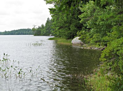 Kejimkujik-Forest-lake-2.jpg