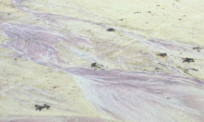 KejimkujikCoast-garnet-sand-2.jpg