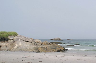 Nova Scotia coast and forest