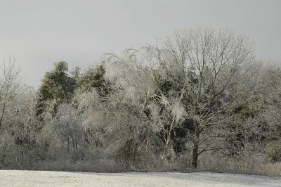 g1/89/761789/3/106984938.zrzVIn8l.jpg