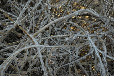 2008 Ice Storm