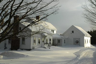 New Leaf in the Snow