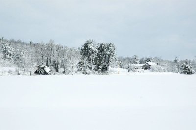 This Old House