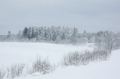 Old Crow Rannch 1 (Davis Farm)