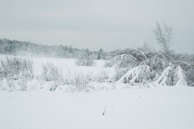 Old Crow Ranch 3