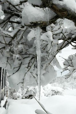 Icicle