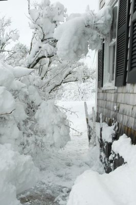 Shoveled Tunnel