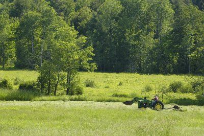 Tedding the Front Field