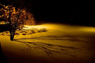 Shadows in the Blizzard