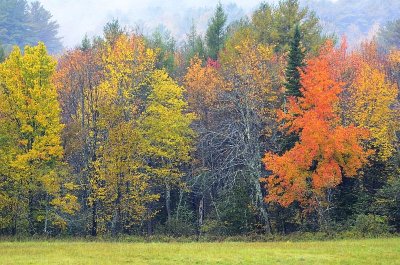 Peaking Across the Field