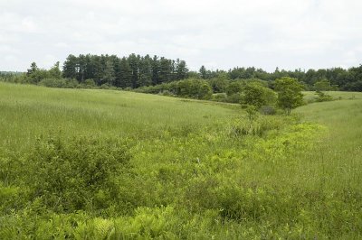 Sinisi Field