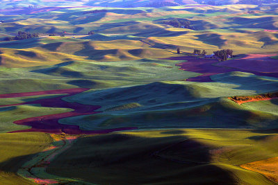 The Golden Hour in the Palouse