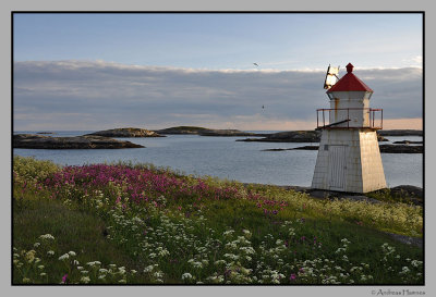 Lighthouse  Heimvret