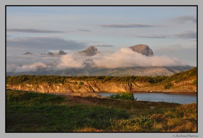 Evening fog