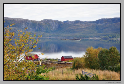 Nordfjorden 