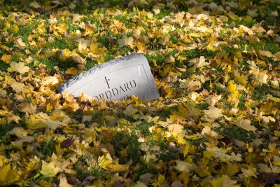 Greenwood Cemetery in Fall