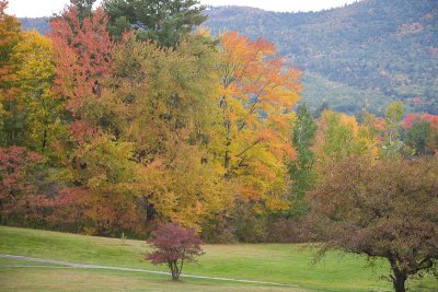 Lake George Foilage