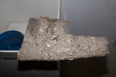 basement-5.jpg
