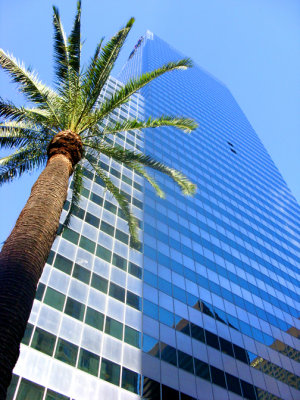 The Palm JLA 108.jpg