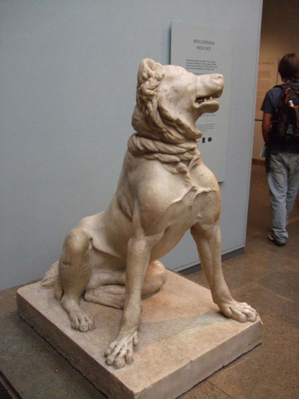 Dog statue