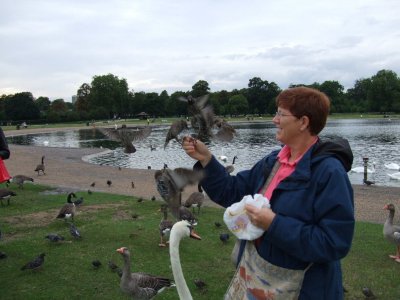 Even the little birds were friendly